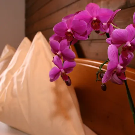 Πανσιόν Forsthof Sankt Johann im Pongau