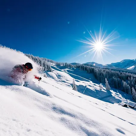 Πανσιόν Forsthof 3*