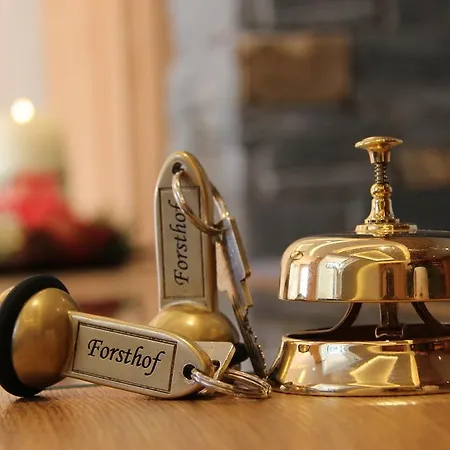 Guest house Hotel Forsthof 3*